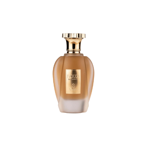 Voux Elegant EDP (100 ML)